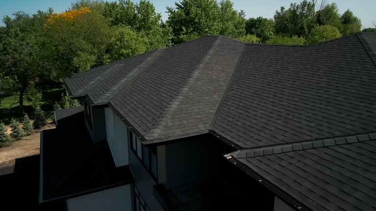 Best Roof Moss and Algae Removal  in Bellbrook, OH