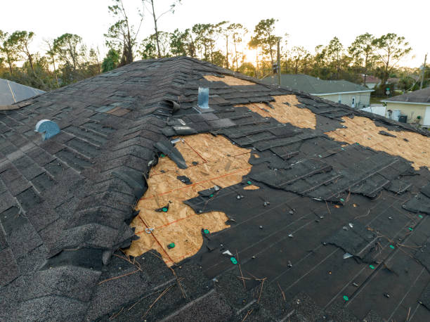 Best Skylight Installation and Repair  in Bellbrook, OH